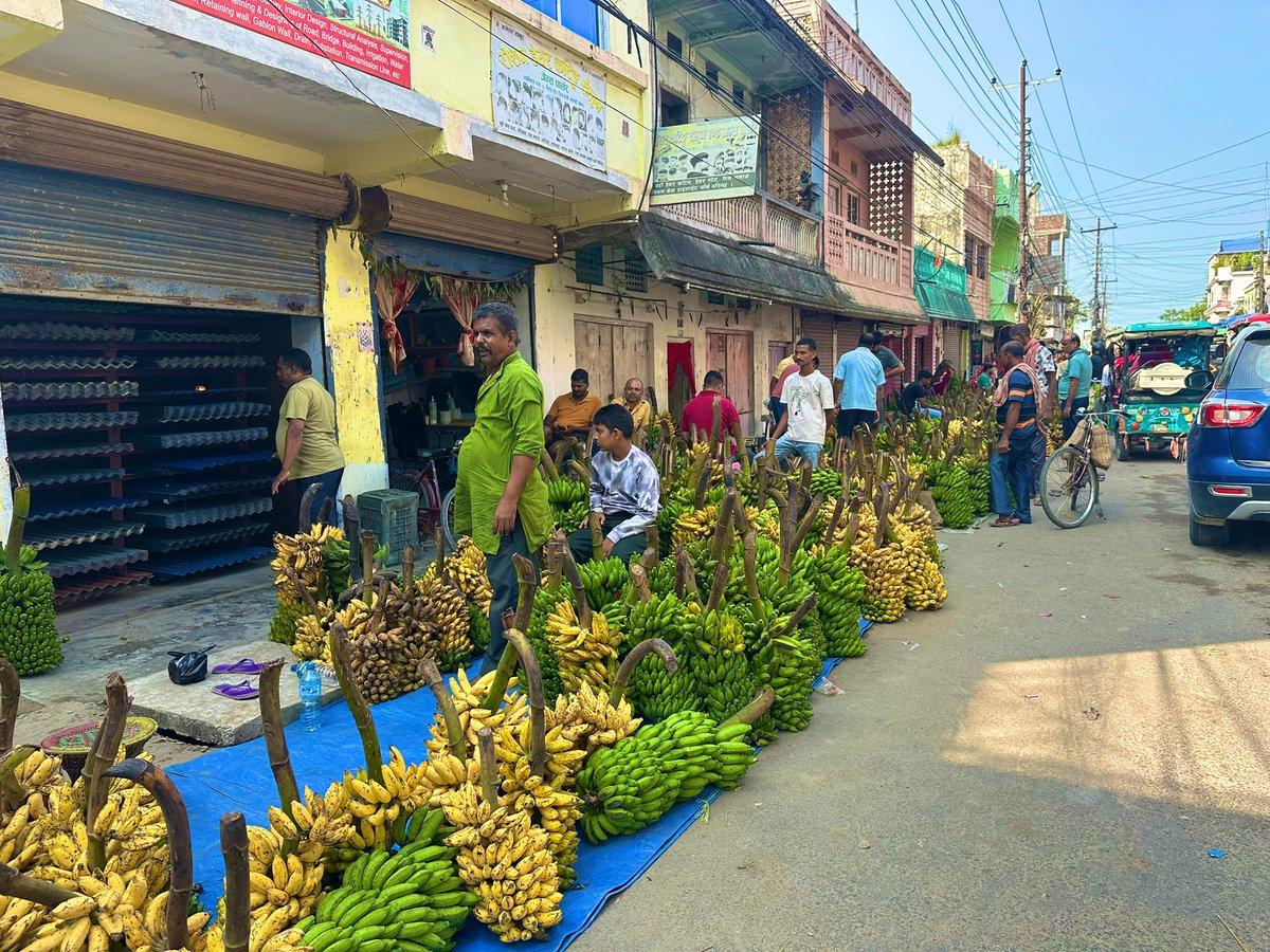 राजविरामा छठको लागी विक्रिको लागी राखेको केरा । #छठ #छठी_मैय्या