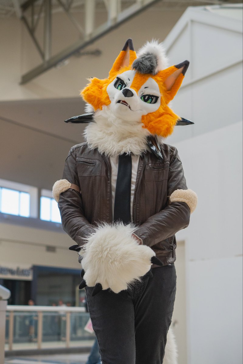 PajraGaoGao's tweet photo. I’ve uploaded my furtrack profile with new photos from a recent anime event! ご覧ください！💙☁️

https://t.co/puUmm9xcBx

A fun event, hopefully they’re able to find a new location!

#FursuitFriday #AnimeNightMart #ANM2025 https://t.co/GF0Lc284U4
