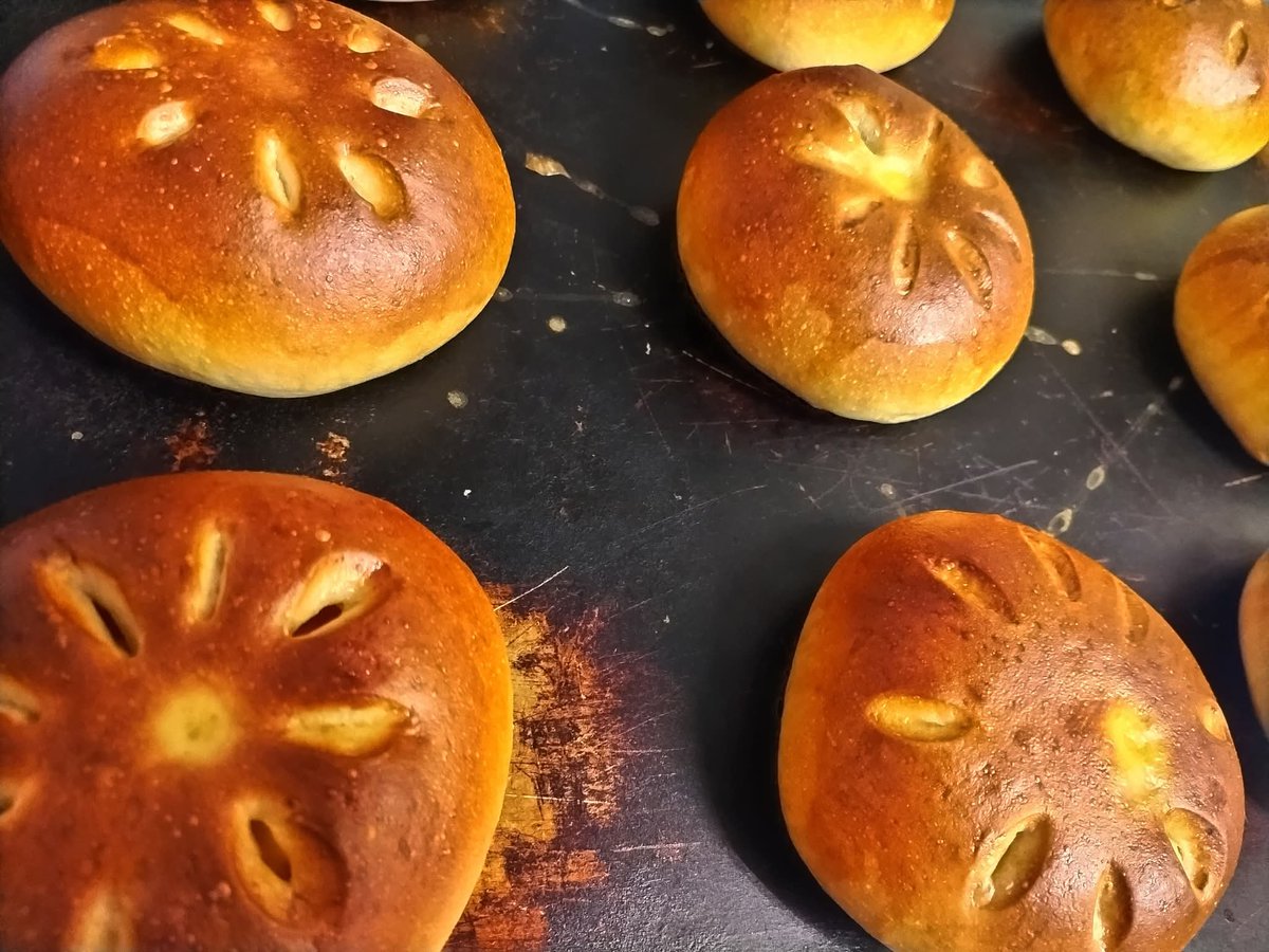 OURS/ウルス クマパン屋🧸 (@ours_fujisawa) / Posts / X