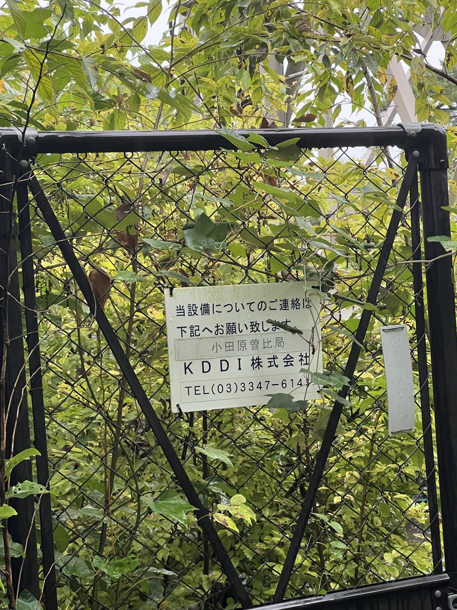 ゆな物語((((っ・ω・)っ on X