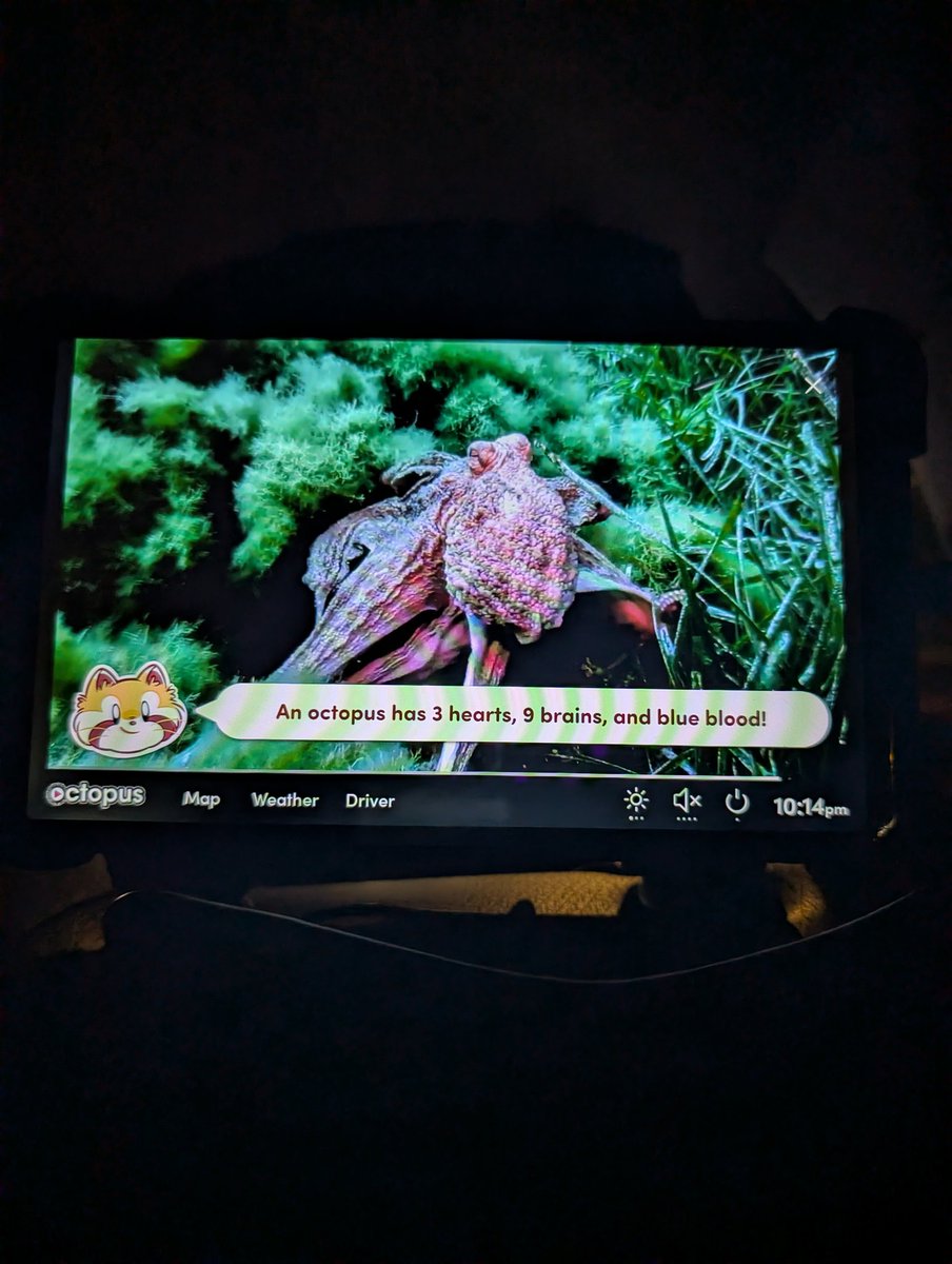 When the Uber's got animal facts >>>>>