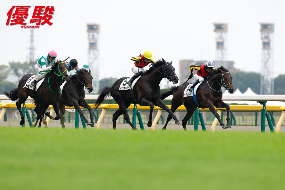 ノリタケ　競走馬跳馬 ノリタケ 競走馬跳馬 ノリタケ 競走馬跳馬