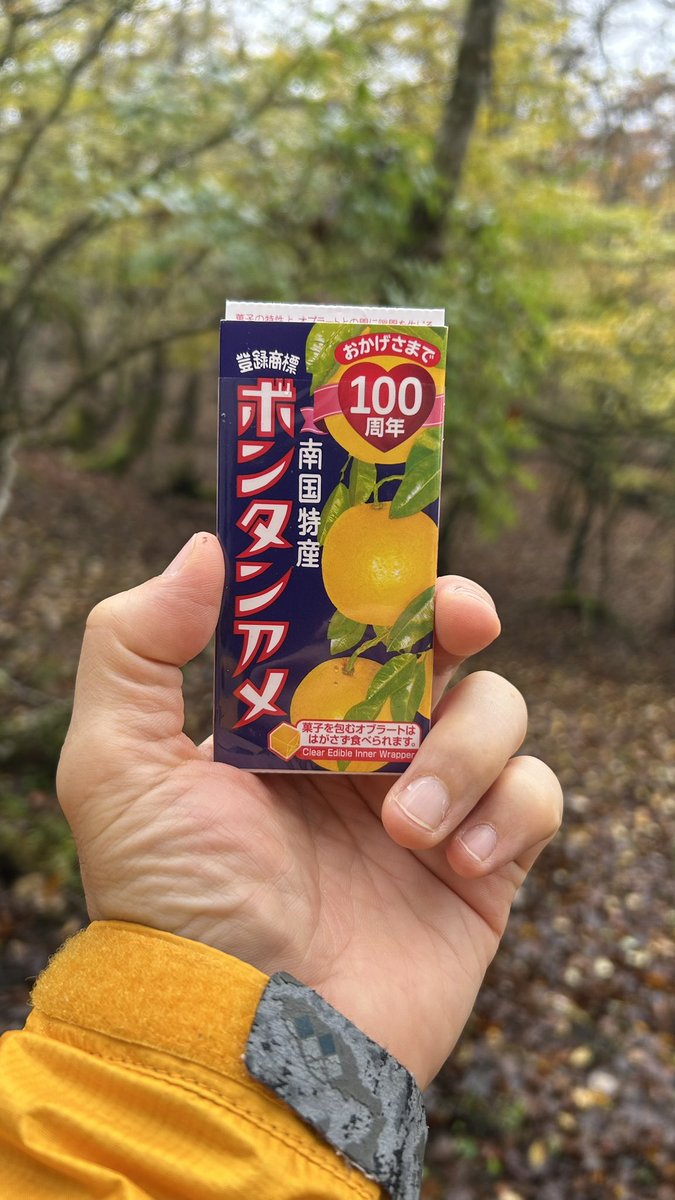 olz_slo's tweet photo. 今日は山中湖沿いの
三国山・パノラマ台ハイキングコース
を4時間掛けて踏破。

雨の中、視界は真っ白で
何にも良い景色が見れず。

さすが雨男。

家族からのブーイング👎に
耐え忍んだ笑

途中、腹が減って困ったが
ボンタンアメに助けられた https://t.co/8SD6PZ6B2D