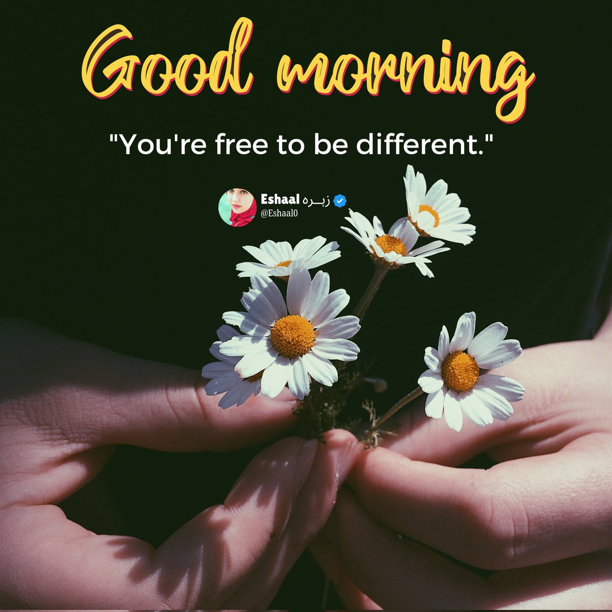 Good Morning 
You're Free To Be Different.
Just fulfill your dreams.