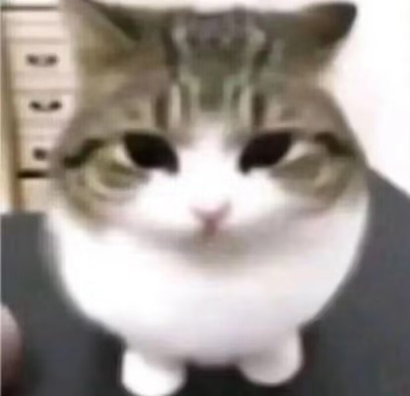 回太多会不会刷屏总之别管了 谢谢大家祝我生日快乐