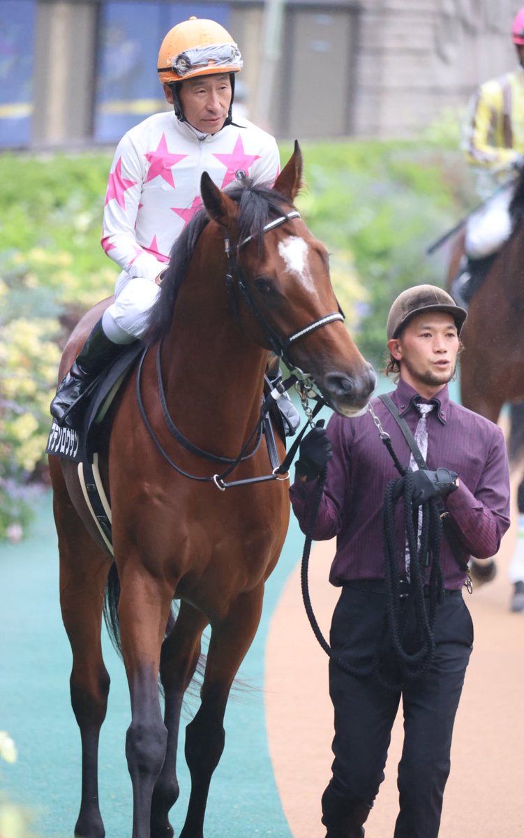 コアラ🐨 (@koakoakoara883) / Posts / X