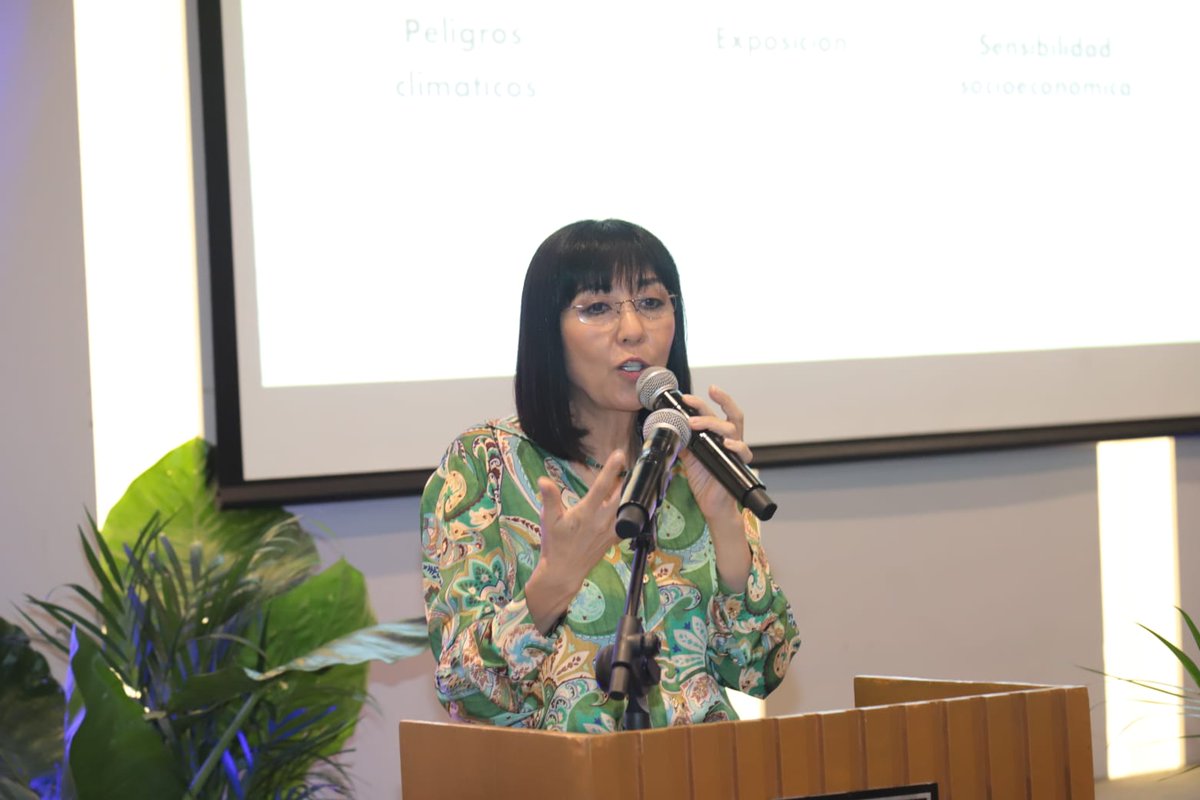 Noroeste tweet media