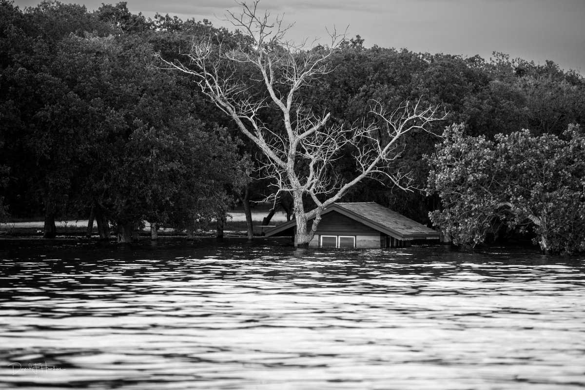 dave (@dfh_art) on Twitter photo 