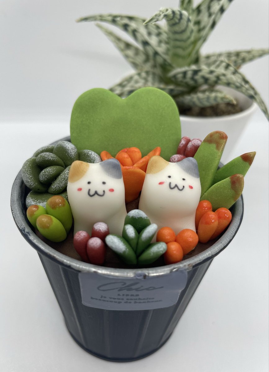 猫アレルギー氏 ネコアレ専科 | 猫アレルギーのお役立ち情報 (@nekoaresenka