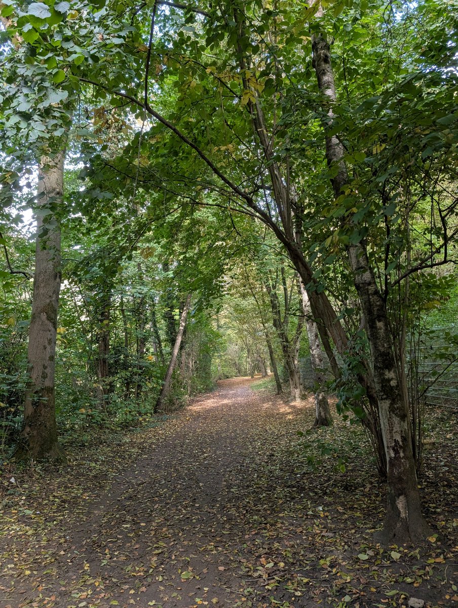 Kritixx's tweet image. 