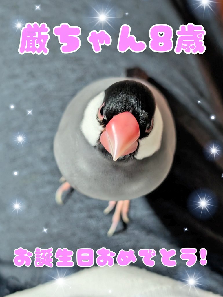 【美狼】ことりのおおきなあそびば 美狼】ことりのおおきなあそびば Konotori no Sato Park