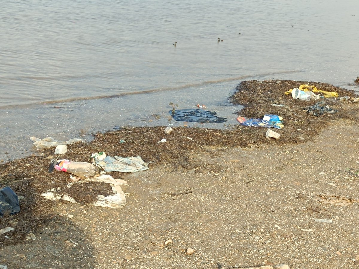 A. Menderes bulvarı göl kenarı açık alanda alkol tüketimi, piknik sonrası çöpünü olduğu bırakan vatandaşımız, temizlik konusunda yetersiz kalan belediye! #Adana  yakışmıyor !!!

#Adanabüyükşehirbelediyesi  #Adanaemniyet