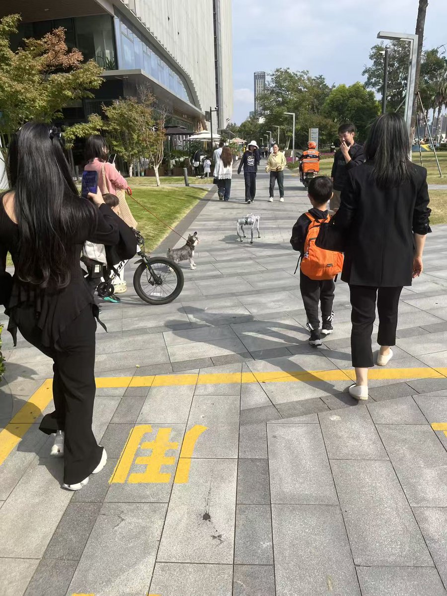 Tensor1992's tweet image. 机器狗是那个背包的小朋友的，不是我的。
一代人有一代人的信仰！
过去，我妈：衣服手洗比洗衣机干净
现在，传统程序员：代码手搓比AI写得好
未来，铲屎官：真狗比电子宠物狗更有灵性.