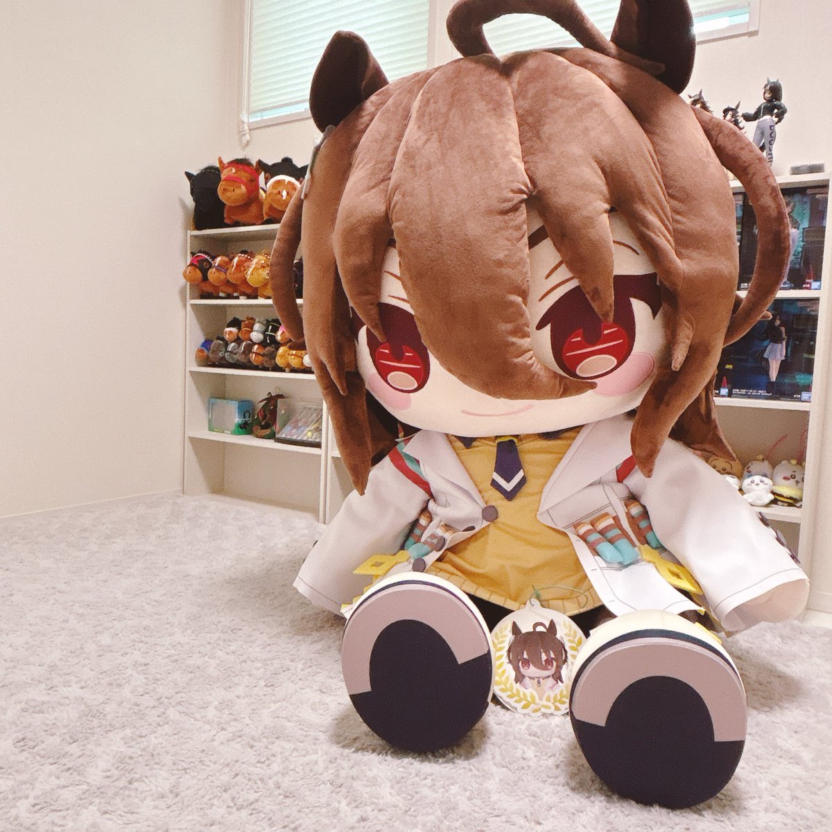 amico088's tweet image. どきゅーとアグネスタキオン
超特大ぬいぐるみ🥼🧪
デカすぎ!!!笑
我が子と比べるとこのサイズ👶🏻
