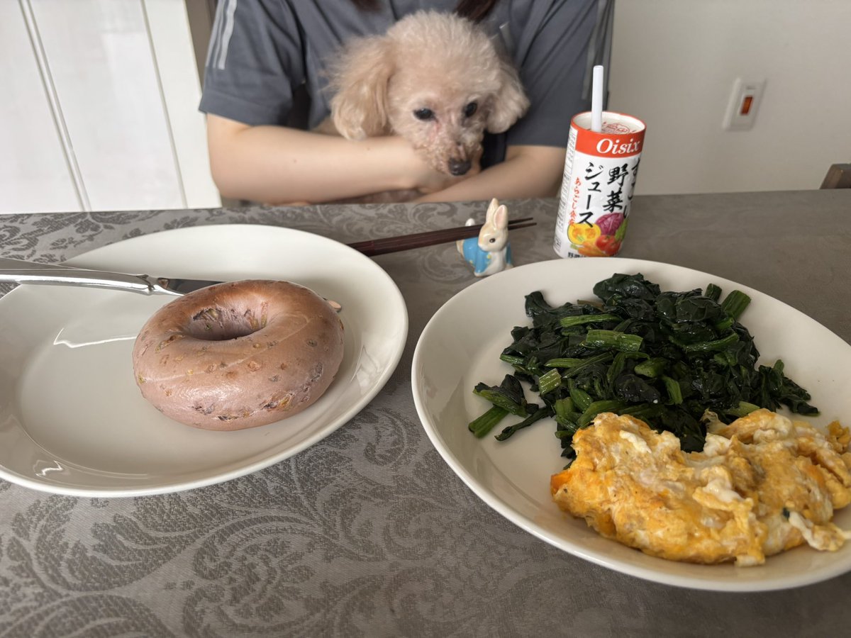 しろい妖精さんみたいには
なかなか撮れない。