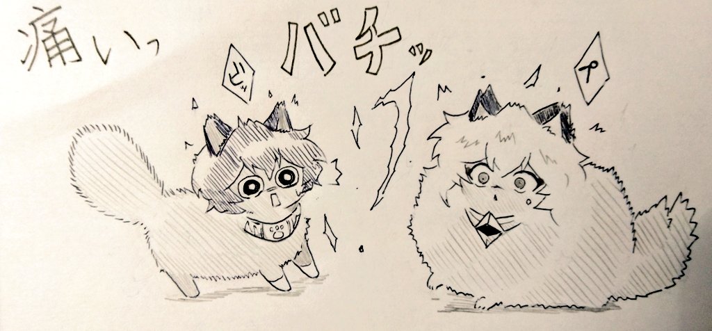 再掲
静電気っ🙀💦⚡🙀💦