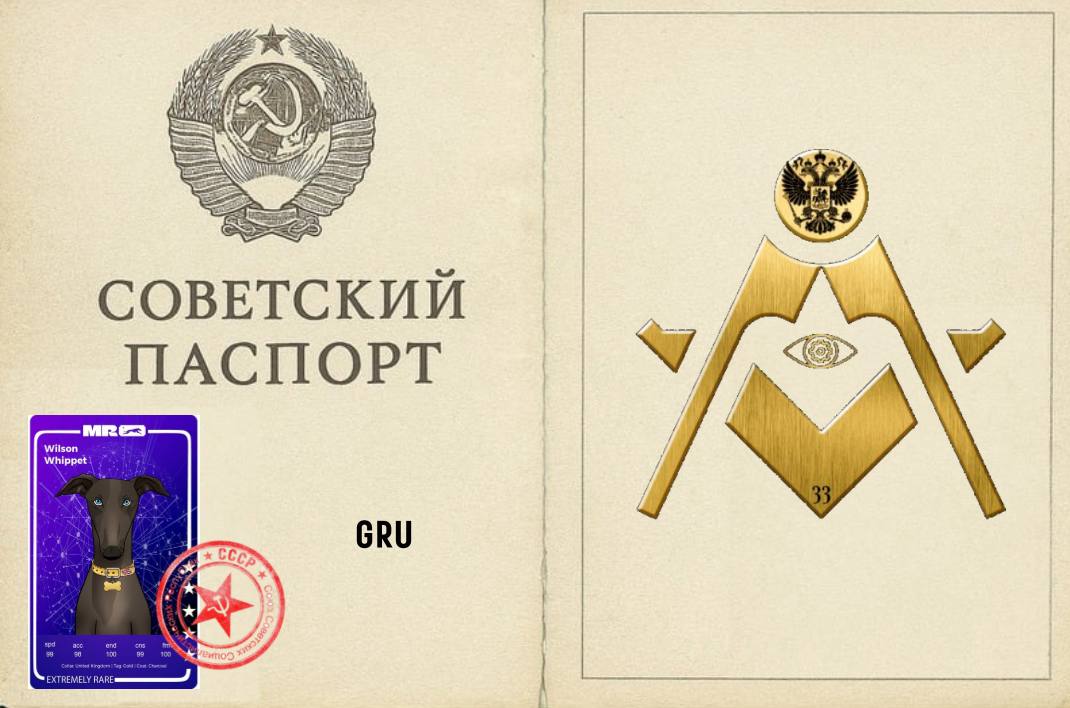 0xUsurper's tweet image. 𝐆𝐑𝐔 placed 1st his first time during a Whippet Paid Sit &amp;amp; Go (G3 Rapid)      

Brought home 3850 FROTH        

#WhippetRacing #Web3Racing #CryptoGaming #Web3Gaming $FROTH $POL $USDT @muzzle_run