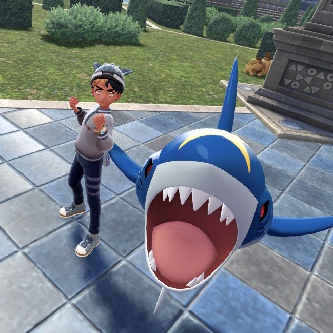 RivalLions's tweet photo. This game has made me fall in love with sharpedo 🦈💙 https://t.co/cmfLCsCdYV