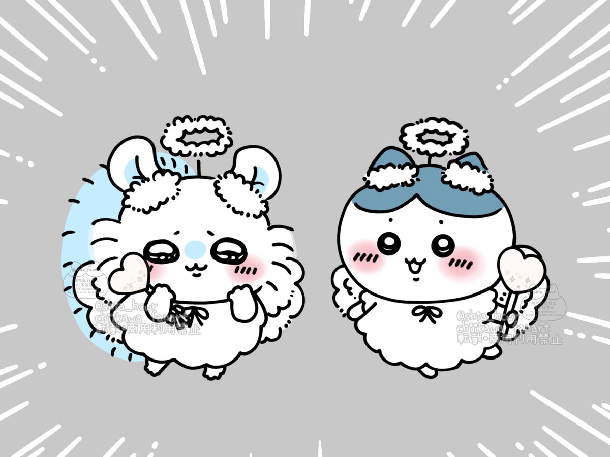 shia_hcwr's tweet image. 🤍👼🤍