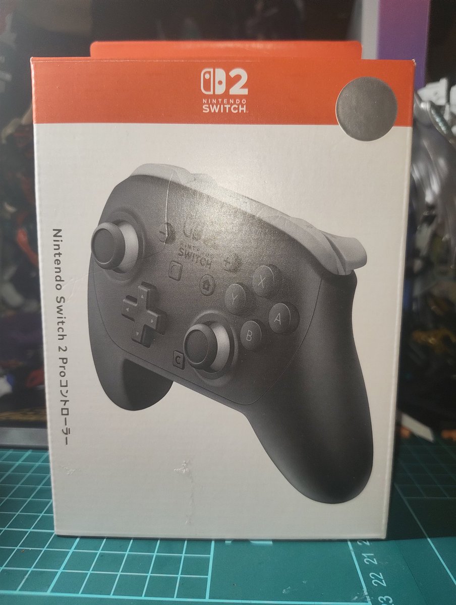 「なんかいけそう」という単純過ぎる考えの見切り発車で某カプセルキャッチャーをした結果、1500円でとんでもなく嬉しいようでなんとも言えない置物が来てしまった…