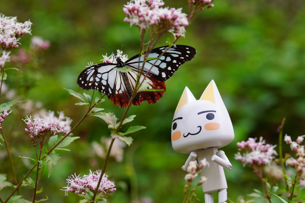 じゅんじゅん (@kagajun0321) / Posts / X