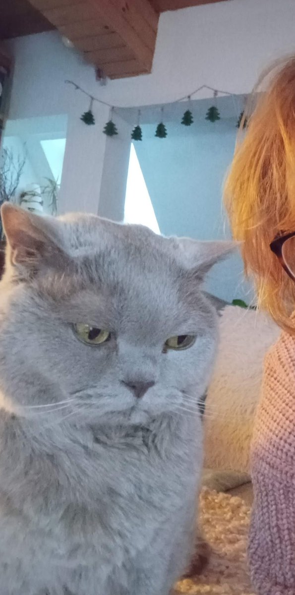 Guten Morgen #Twitterrudel, das Foto gab's gestern in einer Google Erinnerung❤️,  24 Wochen ist Toni schon hinter dem 🌈, denke viel an ihn 😢.
 Ich wünsche euch ein ruhiges Wochenende, liebe Grüße, Tonis Frauchen 😘