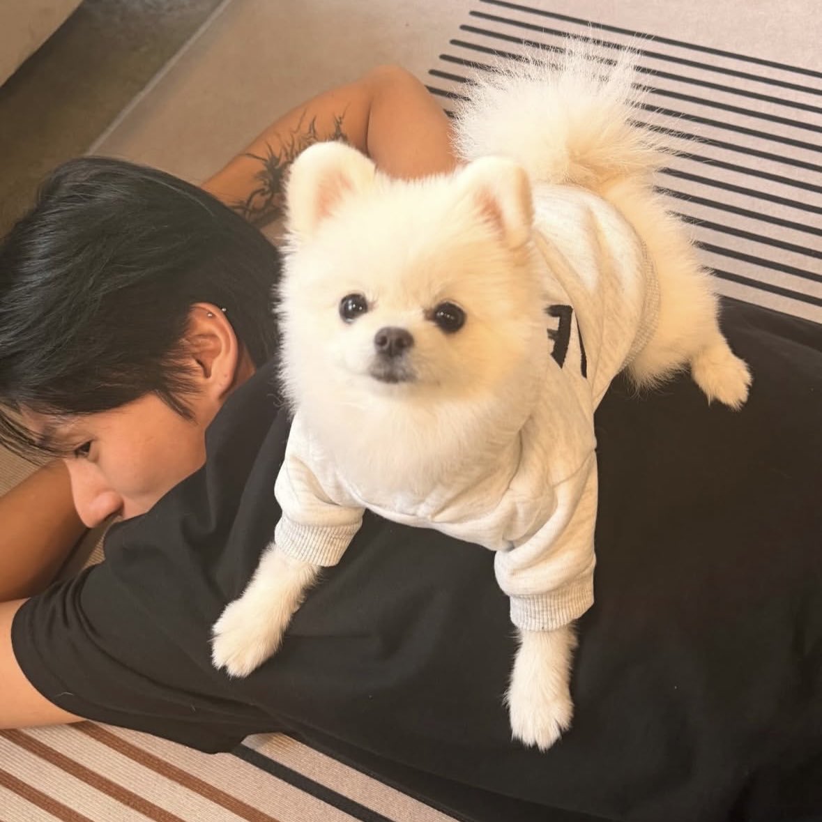 jwysanrise's tweet photo. most beautiful nose in the whole world also the tattoo i love his tattoo the tyrannosaurus on his back is cute too i guess https://t.co/2o04rwesj4