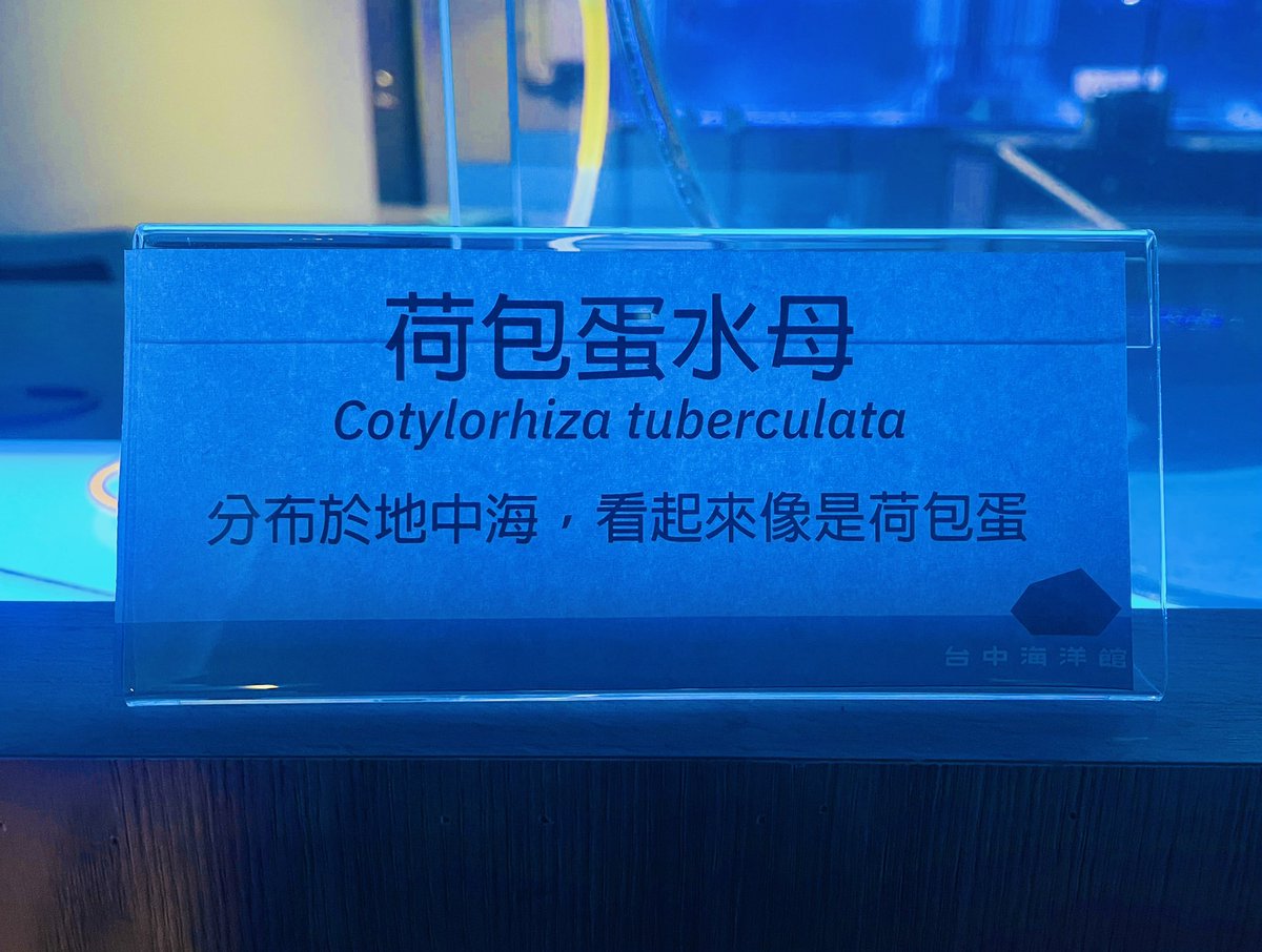 鯊咩さめ🦈໒꒱ (@Cindy12413) / Posts / X