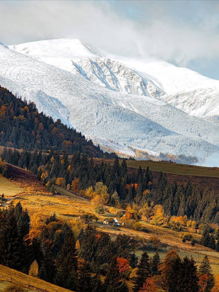 ✨ (@living_in_ua) on Twitter photo 