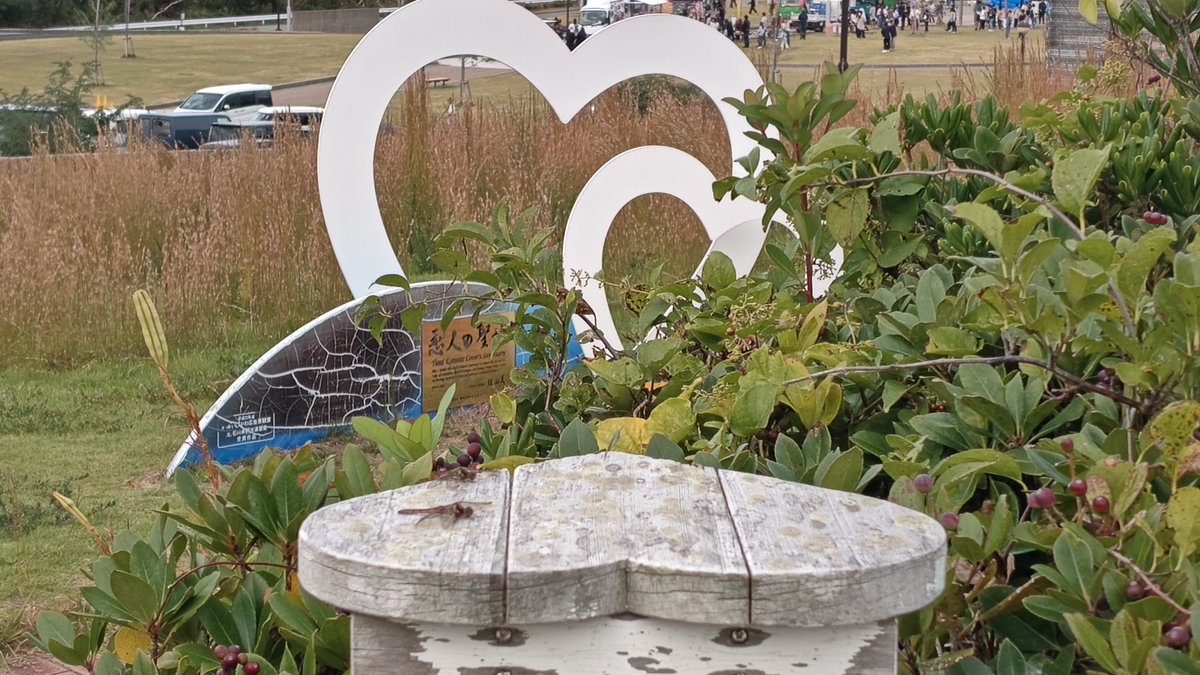 紫苑ページ 紫苑@Tzion on X