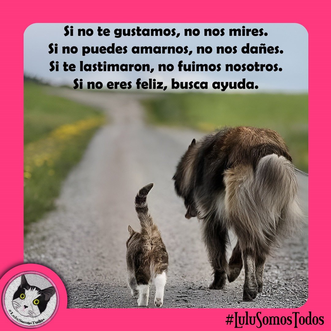 #25Oct #LaHoraX de #LuluSomosTodos, a las 8:00 pm 🇻🇪. Y para los que sí los aman, no los dejemos  atrás POR ABANDONO, O POR INDIFERENCIA. BÚSCALO, RESCÁTALO, ADÓPTALO, ALIMÉNTALO, PROTÉGELO! ESTERILIZA, CASTRA, AYUDA, DENUNCIA ! #SalvaVidas. #Seguimos!