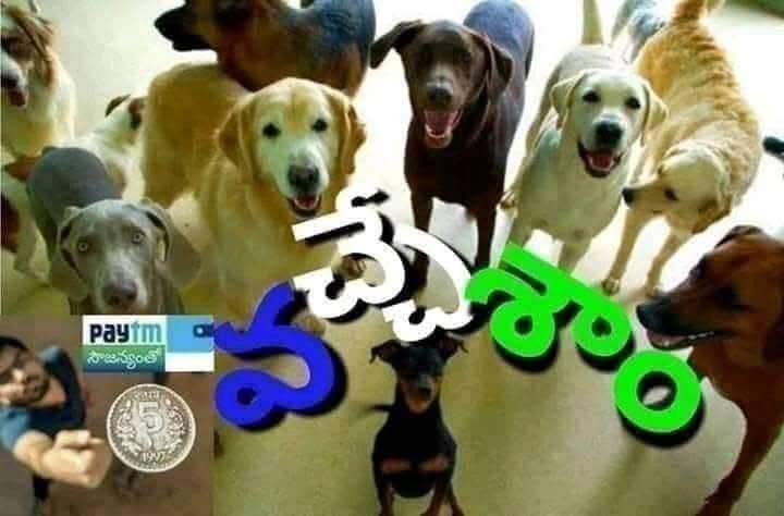 PITCHBOSS's tweet photo. #Ysrcp #Ycp #FakeGang https://t.co/x8IIfvSrUm