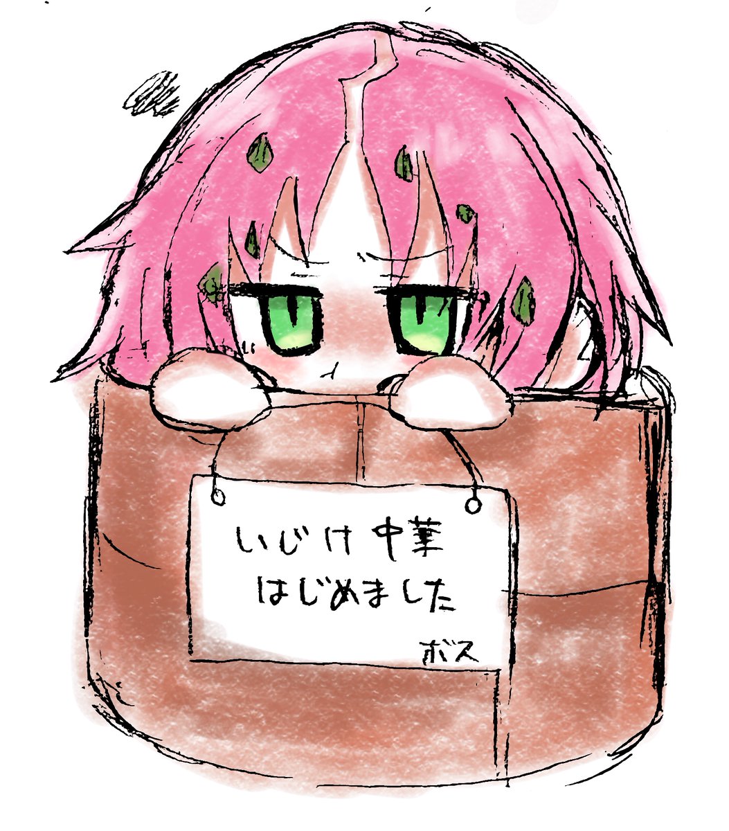 ずんだ餅@不定期投稿 (@bsd_fd4) / Posts / X