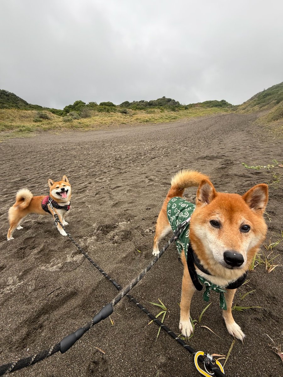 中村一義 STAFF (@fuku_kikagaku) / Posts / X