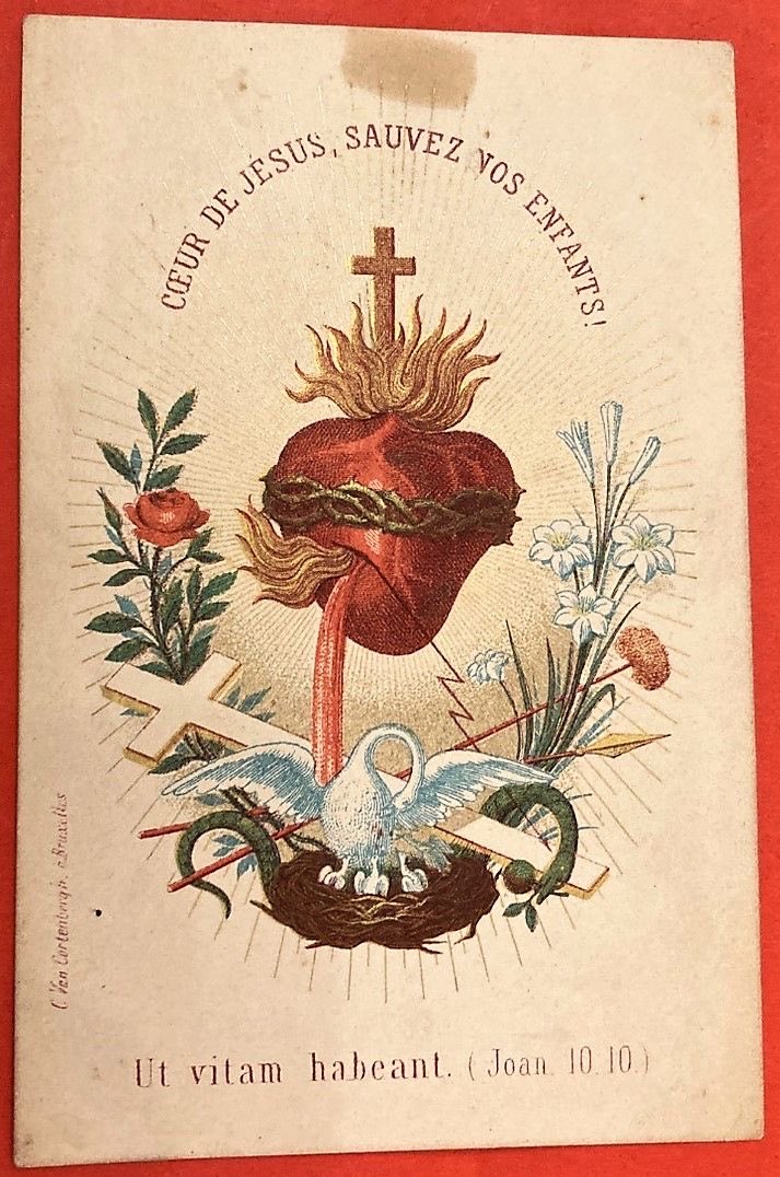 Christianfourré - Dieu et le Roi (@cathoreac) on Twitter photo Sacré Cœur de Jésus
Sauvez vos enfants Sacré Cœur de Jésus
Sauvez vos enfants