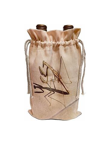 TaicheTees's tweet photo. Praying Mantis #taiche #3dRose #prayingmantis #mantis #insects #macro #insect #nature #prayingmantisofx #insectsofx #bugs #mantids #mantodea #macrophotography #bug #entomology #mantidsofx #mantid #insectphotography #giftideas https://t.co/yhn5gGH1K4 https://t.co/iE913xxj3M