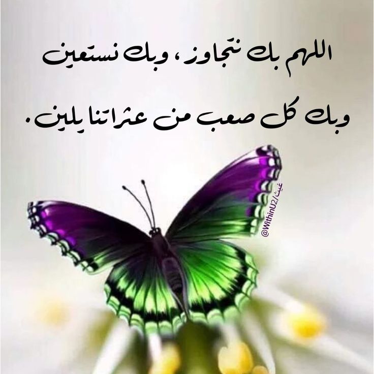 ٰ

بسم الله 
نبدأ يومًا جديدًا مُجددًا…
آملين ألا تتعثّر خُطانا، 
ألا نَضِلّ أو نُضَلّ،
 ألا نذلّ أو نُذلّ…
اللهمّ استخدمنا ولا تستبدلنا، 
وانفعنا وانفع بِنا…
أصبحنا بخيرڪ الدائم
 ولطفڪ الخفيّ…
ونَظُنُّ بڪ الظنّ الجميل فتوَلَّنا…

#صباح_الخير_والسعاده ❤️