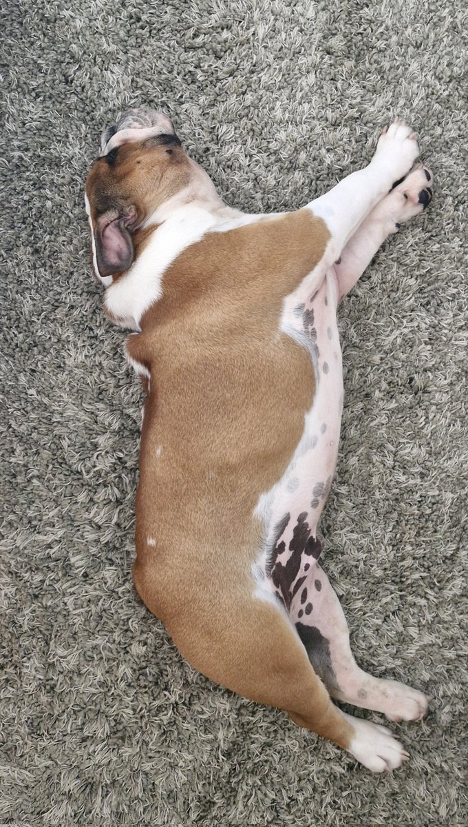 Miss Moneypenny tweet media