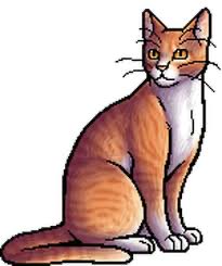 HAITUS - Warriors Character Of The Day tweet media