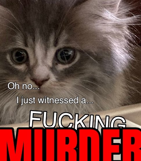 Martin (@norwegianwiking) on Twitter photo 