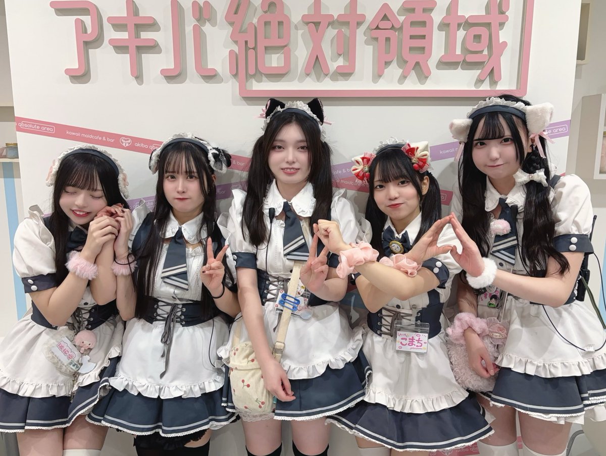 メイドカフェ アキバ絶対領域 on X メイドカフェ アキバ絶対領域 on X