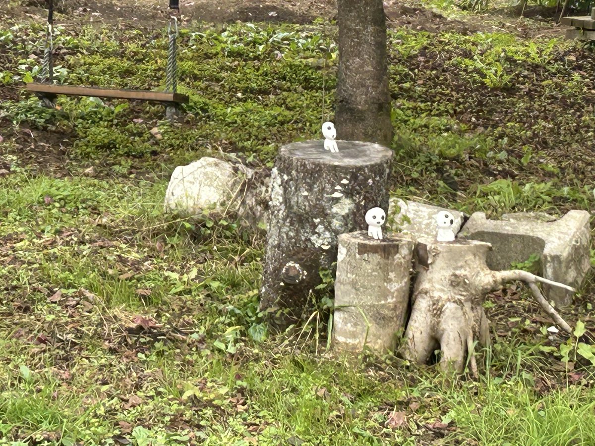 こけし女子 on X