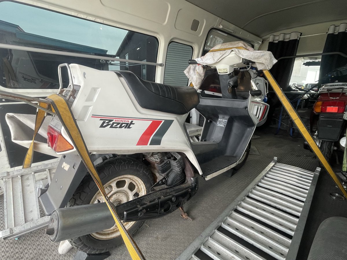 ☆ちーぼー！ CHUULIP CITY LOGO KIDS DECK 7.25inch | 東京のスケートボード