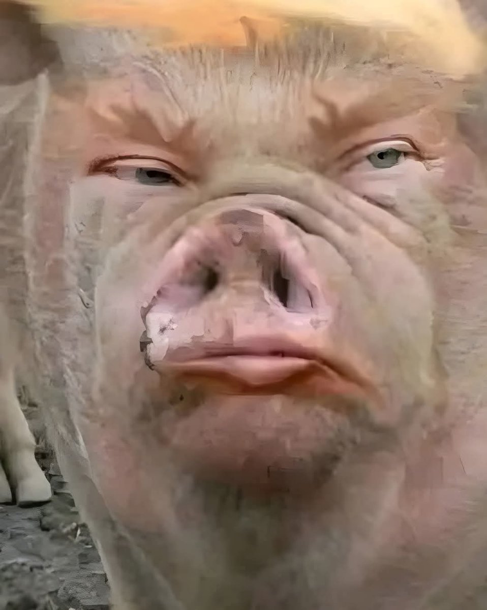 <a href="/princess_kim_k/">Haters_gonna_hate</a>