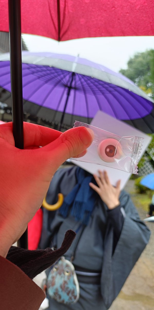 お江戸のハロウィン  #妖怪ワンダーランド 雨の日もなんかよかった！みんなおいでよ！