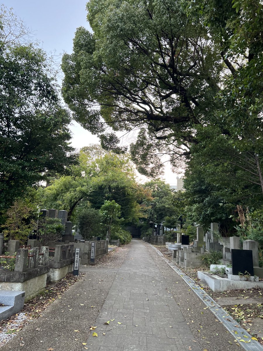 JF12498886's tweet photo. 慣れない町で時間を潰すことができず、墓場をうろつく… https://t.co/G2D18NZuPo