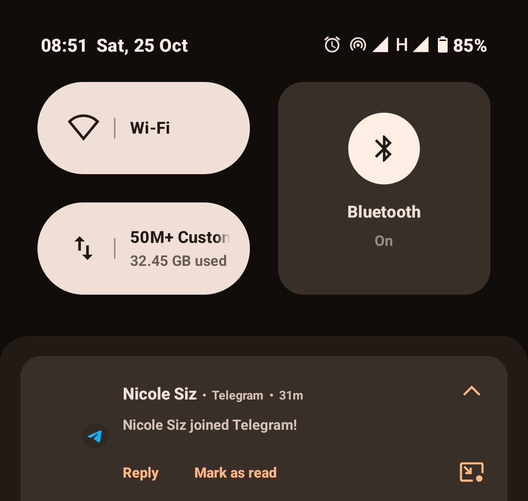On this day four years ago. My sister Nicole passed away . Today. Her phone number just joined Telegram. That’s all I’ve got.