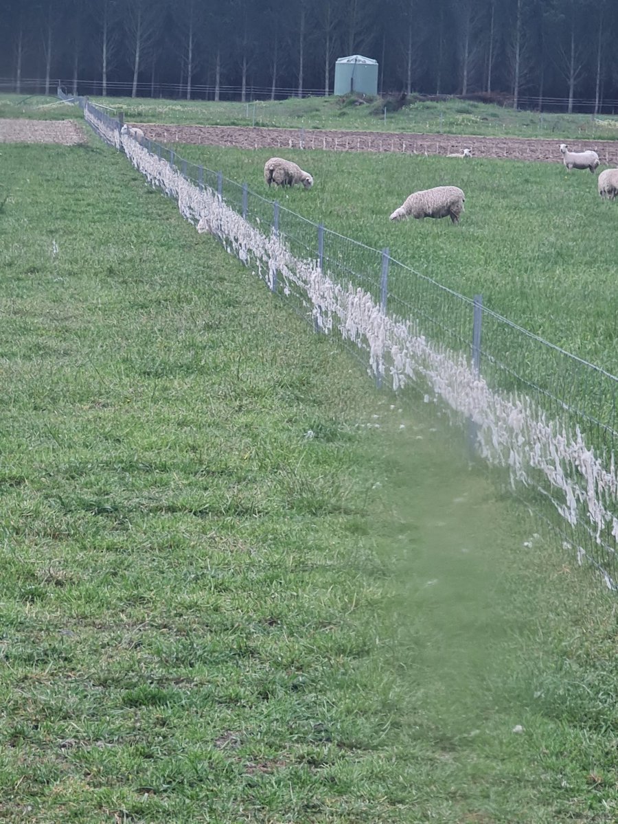 Stuart Kemp tweet media