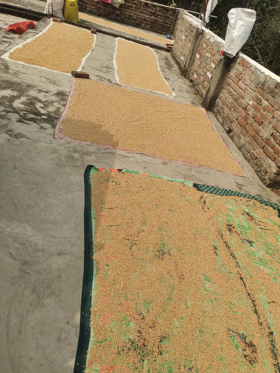 अभी मेरी ड्यूटी यहां है।
आप में से कितनों को पता है कि मैं क्या ड्यूटी कर रहा हूं?