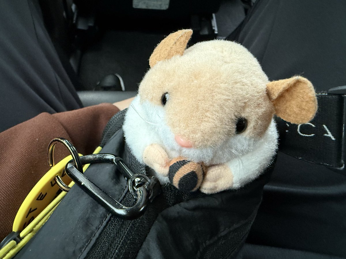 ハムチ、出発するよ